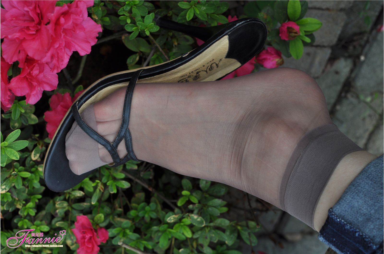 心绪盈秋。灰丝 芬妮高清丝足